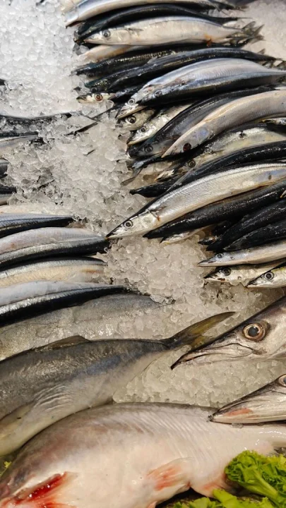 fresh-fish-ready-to-export