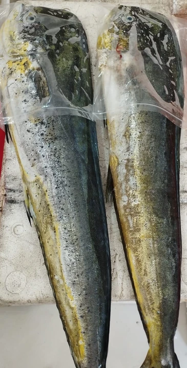 Mahi-Mahi-wholefilet
